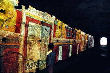 neronian cryptorticus Palatin2