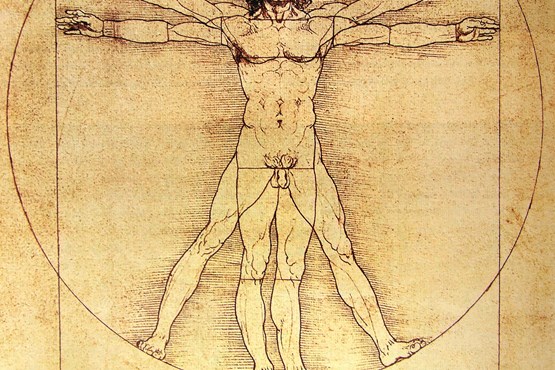 homme de vitruve